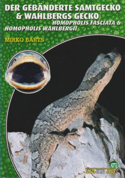 Der Gebänderte Samtgecko & Wahlbergs Gecko